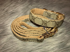 gucci dog belt