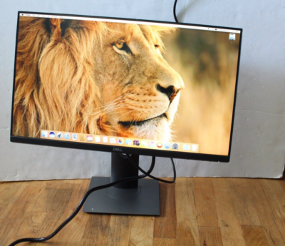 Dell P2319H 23 In Monitor Full HD 1920 x 1080 IPS Display | eBay