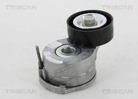 Triscan Riemenspanner Keilrippenriemen 8641 161014 FüR Ford Mondeo DM2 Kuga MAX