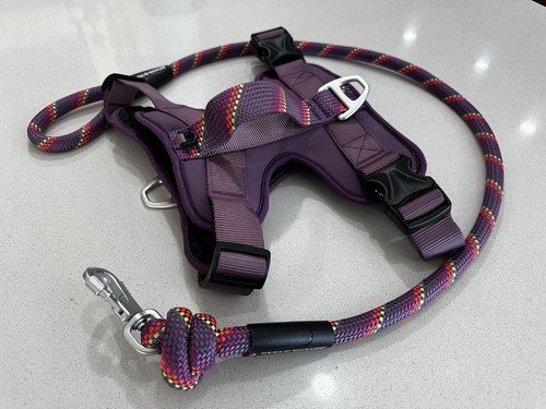 Arcadia Trail Neoprene Dog Harness And Leash Set For Large Dogs. - Picture 4 of 4