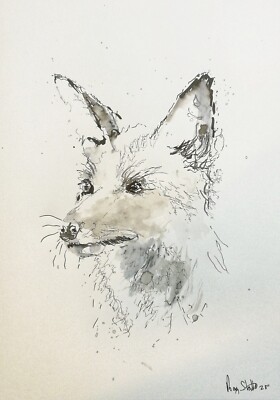 Original FOX Ink Sketch (2024) - A4 - By Artist Ray Statter