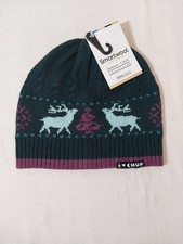 Smartwool CHUP Kaamos Beanie Hat OS Merino Wool NWT Green Purple