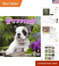 Giftable 2026 Puppies Wall Calendar - 14- Layout with Holidays Included