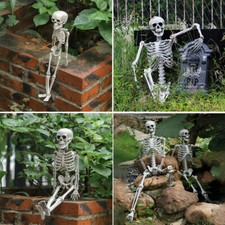 Halloween Real Life Size Human Skeleton Model Perfect Decoration Bone Prop Decor