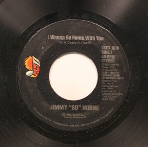Jimmy Bo Horne Is It in | eBay