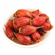 Gardenia Fruit Tea Cape Jasmine Zhi Zi Natural Chinese Herbal