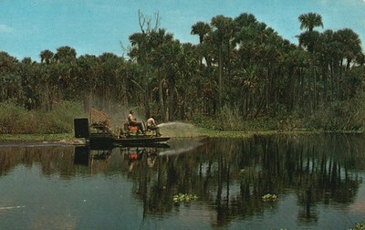 Postcard FL Skimming the Surface Airboat Chrome Vintage PC M3225