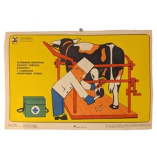 Cow Farm - Trim hooves only in a special stall ! - 1981 Ukraine Safety Poster