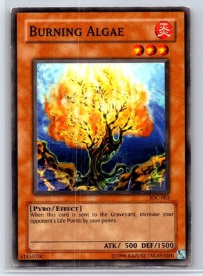 Burning Algae IOC-062 Common / Short Print Invasion of Chaos Yu-Gi-Oh LP