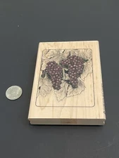 Hampton Art Stamps Grapes/Vineyard Rubber Stamp - Marla Shega -Large - Free Ship