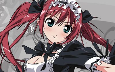 Anime queens blade Playmat Gaming Mat