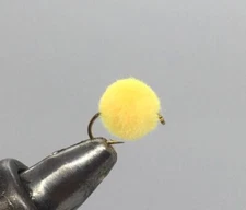 One Dozen (12) - Glowbug - Oregon Cheese - Egg