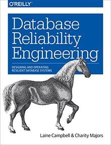 Database Reliability Engineering: Designing and Ope... | Buch | Zustand sehr gut