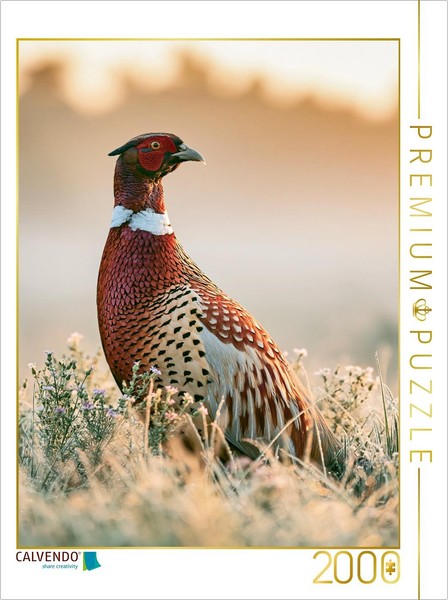 Calvendo Puzzle Freedom Knows No Bounds | 2000 Pieces, Finished Size 35.4 × 26.4-image