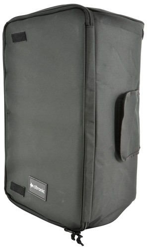 Padded Transit Bag For 12
