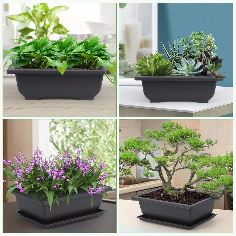 GROWNEER Bonsai Training Pots 3 Packs 9Inch with Drainage Humidity Trays, Bonsai