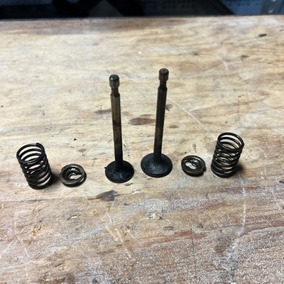 briggs and stratton 590394 exhaust valve and 590393 intake valve