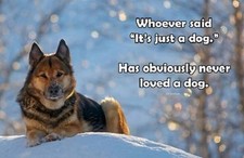 Inspirational German Shepherd dog  refrigerator  magnet 2 1/2 X 3 1/2 