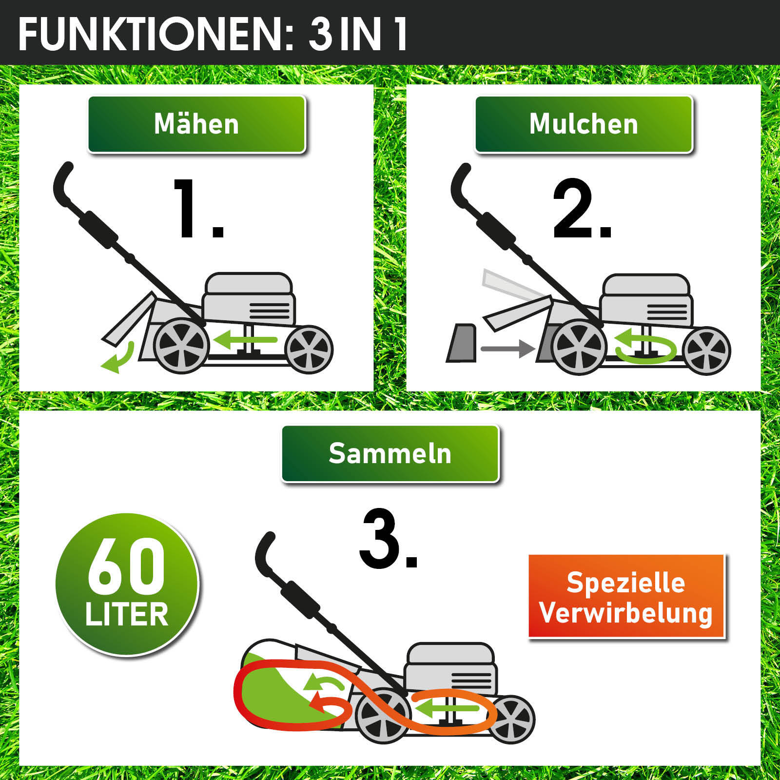 Afbeelding 6 van 13