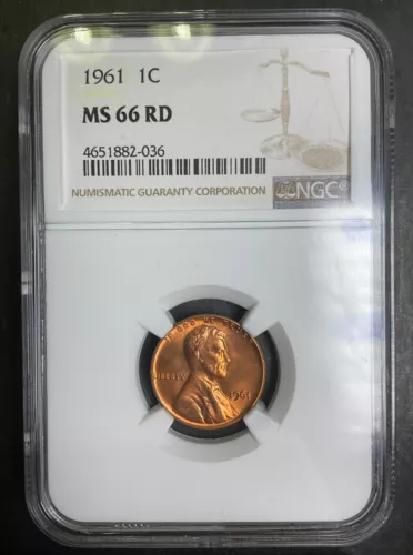NGC MS66RD 1961-P Lincoln Memorial Cent 1c Better GEM BU+ MS PQ BLAZING RED c6