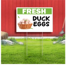 Fresh Duck Eggs Coroplast Sign Plastic Indoor Outdoor Yard Sign