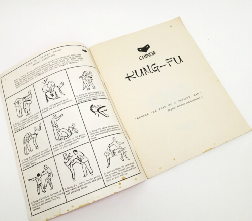 Chinese Kung-Fu 1963 Illustrated Collectable Vintage Martial Arts Weapons Dragon - Picture 3 of 9