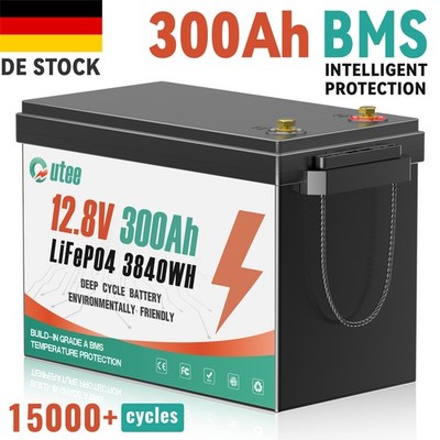 Mini 12V 300Ah LiFePO4 Lithium Battery 200A BMS For RV Solar Off-grid DE Stock