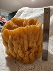 Real Sea Sponge Decorative Vase Coastal Nautical Beach Home Decor Tarpon Springs — photo 4