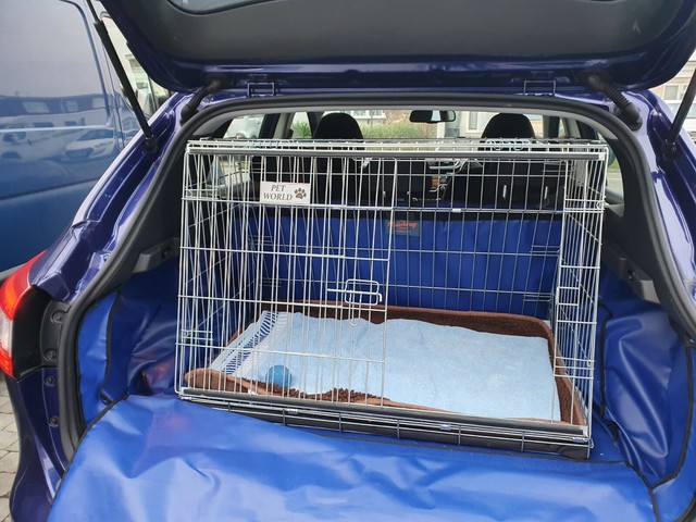 car boot crate