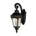 Trans Globe TGL 19' High Outdoor Coach Light Rust - 5043 RT