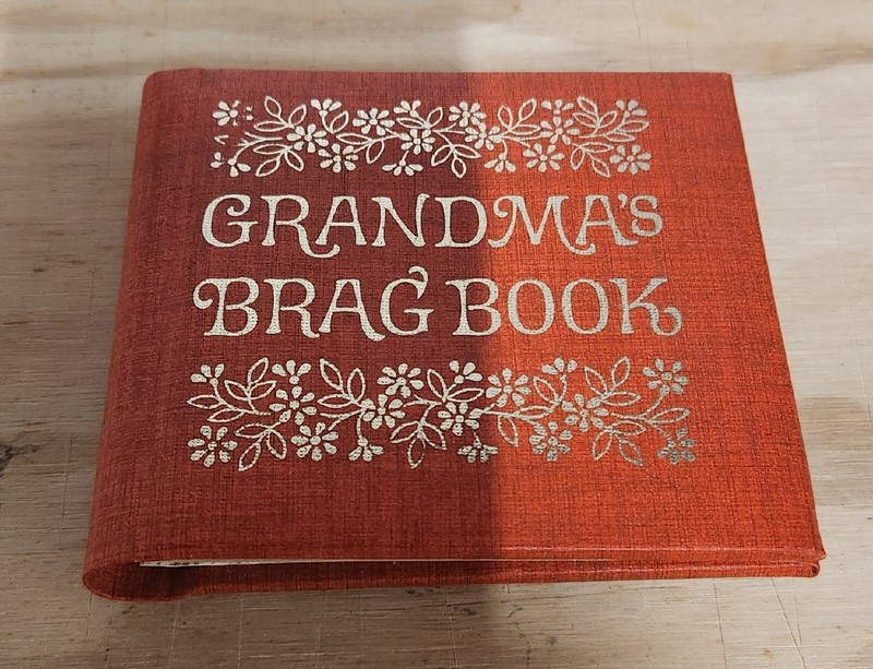 Vintage Grandma's Brag Book Show-and-tell Mini Photo Album Orange Gold Baby Pics