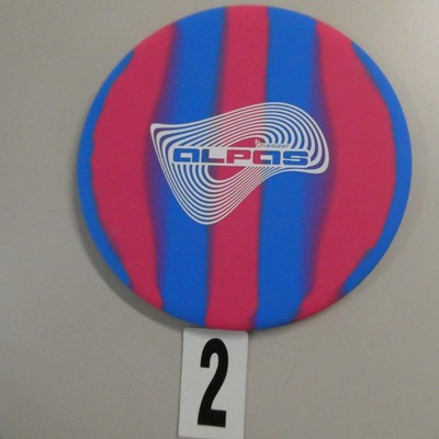 Divergent Discs Stayput Alpas - Pick Your Disc!