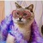 hipster.swag