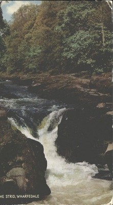 Vintage Postkarte The Strid Wharfedale Yorkshire UK Fluss Stromschnellen 1966 J Salmon