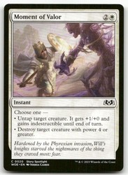 Moment of Valor #20 Common Wilds of Eldraine MTG