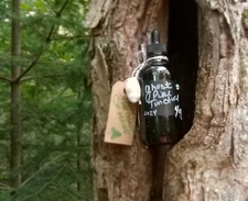 Ghost Pipe tincture THERAPEUTIC GRADE 4oz AGED 2+yrs! 