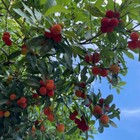 Foto 10 di 18
