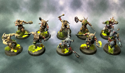Kill Team: Fellgor Ravagers - Well Painted with Acrylic Tokens and Organizer
