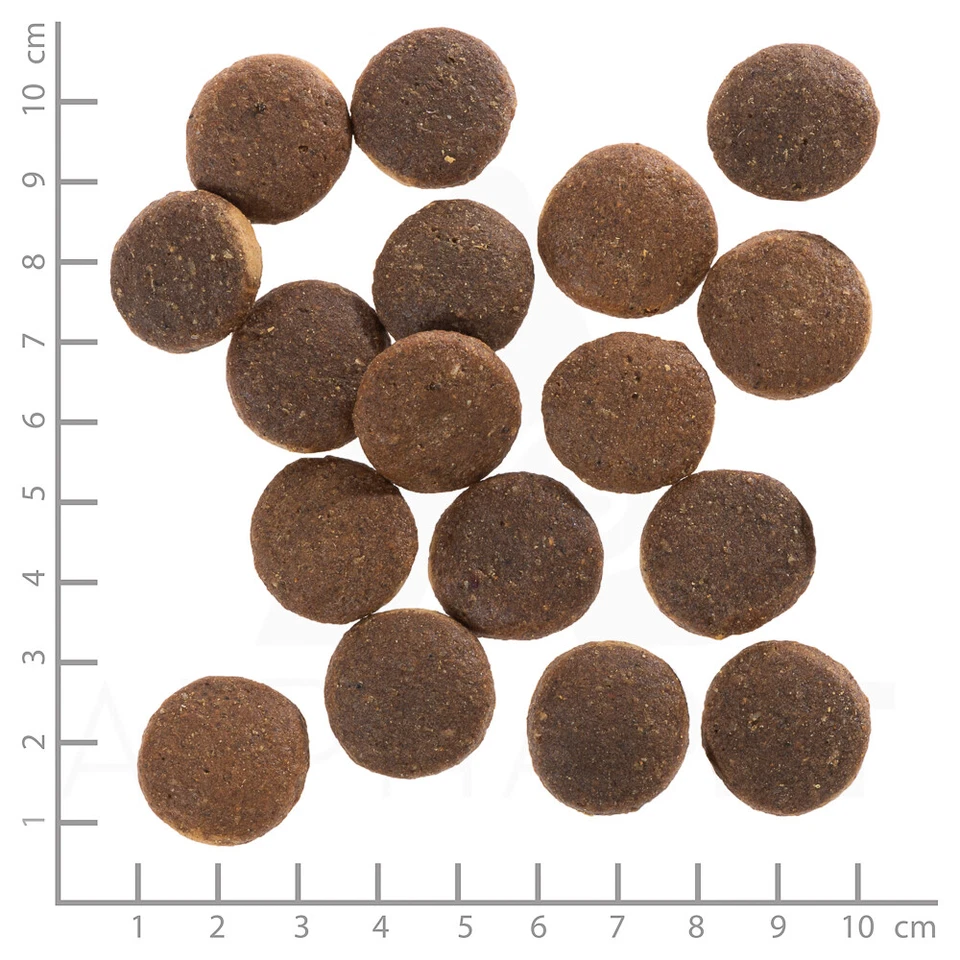 Wolfsblut - Red Rock Adult - 2 kg - Hundefutter - Bild 4 von 4