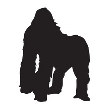 Gorilla Ape Monkey Orangutan - Vinyl Decal - Multiple Color  Sizes - ebn1345