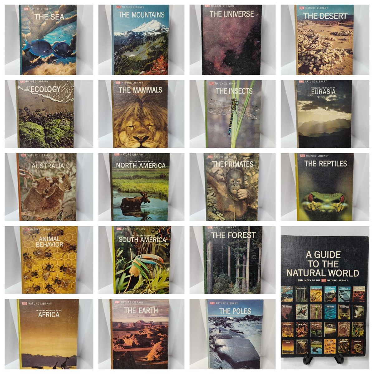 LifeNatureLibrary TIME LIFE BOOKS 図鑑セット Nature Library Time Life Nature Hardback Vintage 1964, You