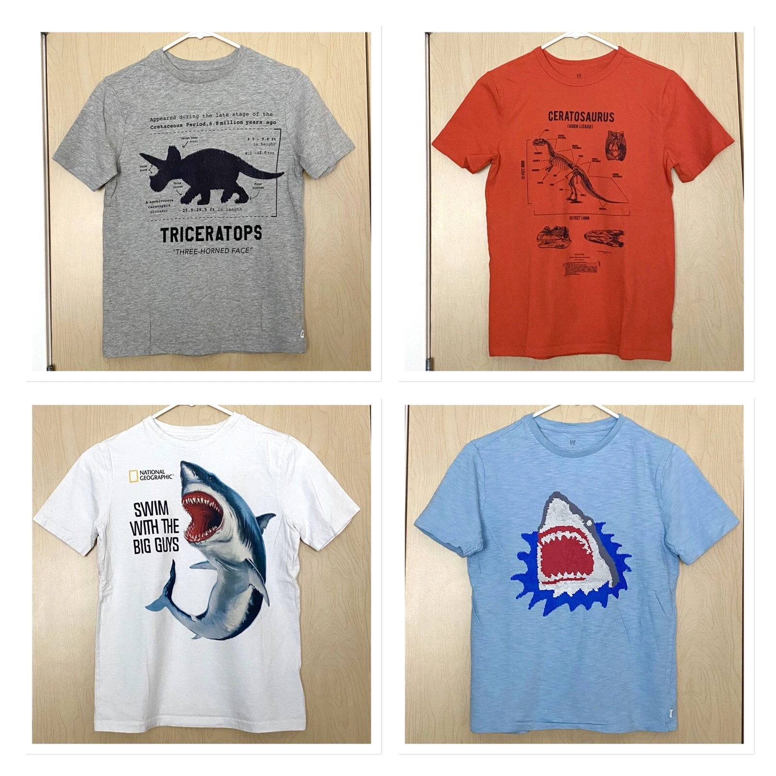 Lot of 4 GAP Kids Dino/Shark T- Shirt Size XL