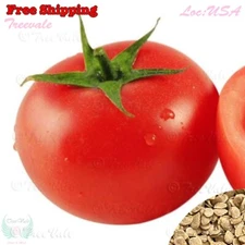 Beefsteak Tomato Seeds| Non-GMO, Vegetable Seeds