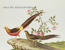 Chinese 100 real natural silk thread,su hand embroidery kits:caragana rock flow