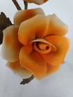 Foto 7 di 8