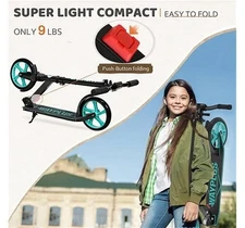 wayplus kick scooter
