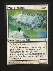 Wall of Shards 23/155 Coldsnap Uncommon