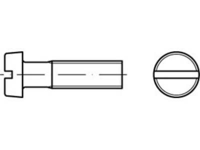 500 x Zylinderschrauben mit Schlitz ISO 1207 A 4 M 4 x 40 A 4 VES, CAB FASTENING