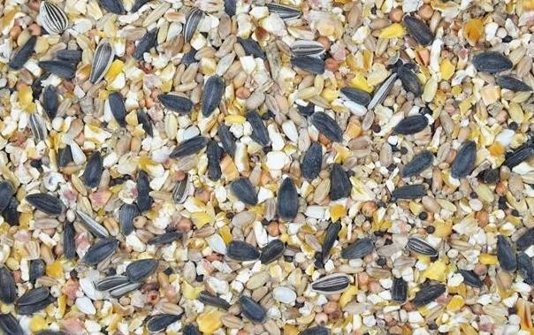 25kg Vogelfutter Winter Wildvögel Fettfutter Premium Wildvogelfutter 25 kg - Bild 4 von 4