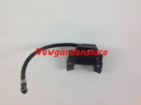 Motorspule FüR AufsitzmäHer RasenmäHer Briggs&Stratton